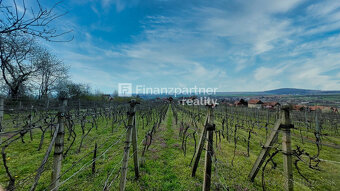 Rekreačná chata, vinohrad 608 m², Jelenec, Nitra - 6