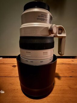 Canon 100-400mm f/4.5-5.6 L IS USM II - 6