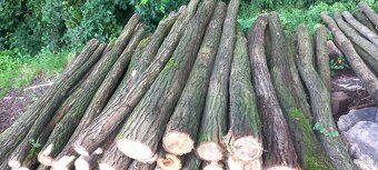 Agatove koly stlpy lacno cerstve - 6