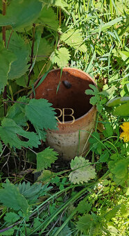 NA PREDAJ _stavebný pozemok_Národný park_ Színpetri - 6