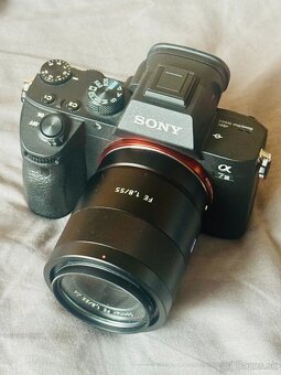 Sony A7 III + Sony Zeiss 55mm f/1.8 Sonnar T - 6