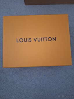 Louis Vuitton - 6