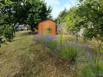 Predaj záhrady v Holíči - Pod Zadnou horou - 6