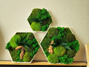 Machový obraz hexagón na mieru - 6