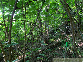 Exkluzívne: 4,2ha pozemok na polosamote - 6