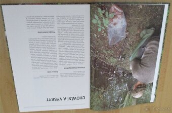Chytání velkých kapru - 6