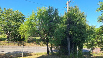 Zahrada-Stavebny pozemok - 6