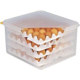 Predam gastro box na vajcia (zmesti sa 120ks) plus podlozky - 6
