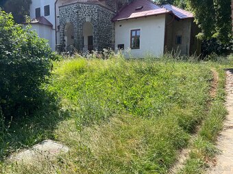 Kosenie, pílenie a opilovanie stromov, čistenie pozemkov - 6