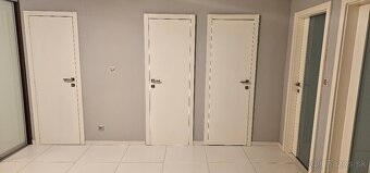 Dvojizbak na nabrezi Bratislavy. - 6