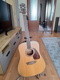 Laci - 6