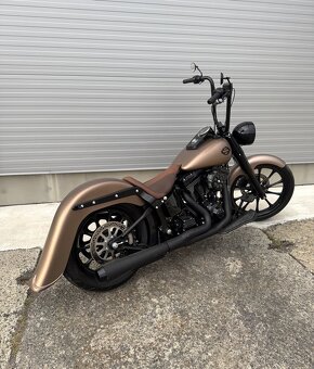 HARLEY DAVIDSON - Softail Chicano Style - SK ŠPZ - 6