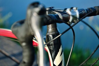 Specialized Roubaix 2010 - 6