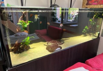Akvarium /Terarium + svetla + stolík - 6