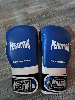 Boxerské rukavice PERDITOR - 6