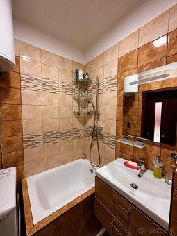 Dám do dlhodobého prenájmu jednoizbový byt s terasou v Rovin - 6