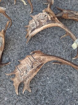 Parohy,zhody,trofeje - 6