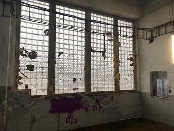 Priestor pre pneuservis, autoservis, sklad - 6