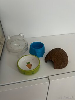 Terarko , terarium so škrečkom, skrecok, agama, gekon - 6