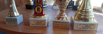Pohárové trofeje - 6