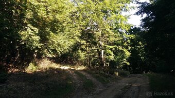 Pozemky (lesy, pasienky, lúky) v k.ú. Šípkov - predám. - 6