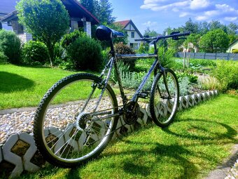 Bike - 6