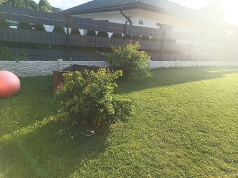 Betónový vyvýšený zahon - 6