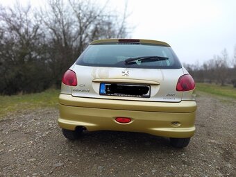 Peugeot 206 - 6