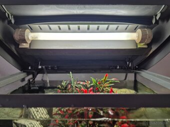 Predam akvarium Tetra - 6