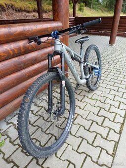 Canyon neuron 5 - 6