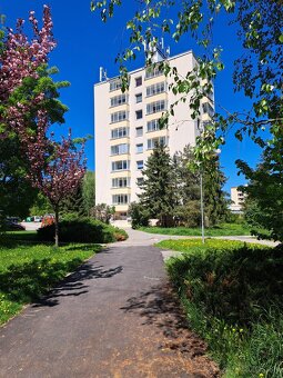 1-izb. byt s balkonom - 6