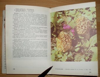 Huby lesov, polí a lúk - 6