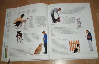 Výchova a výcvik psa - 6