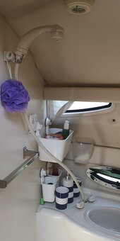 Bayliner 245 SB - 6