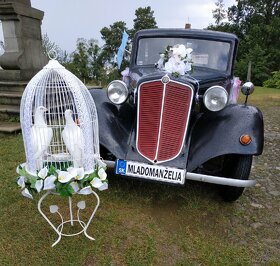 Biele svadobné holuby  2026 - 6