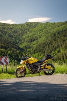 Honda CB600F Hornet 2008 - 6