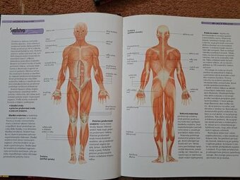 Vedomosti v kocke - Cicavce, Technika, Ľudské telo - 6