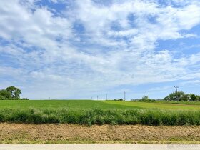 Investičná príležitosť POZEMOK 15 000 m² Malé Hoste - 6