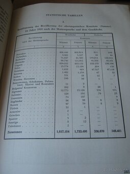 100 rocne knihy3 - 6