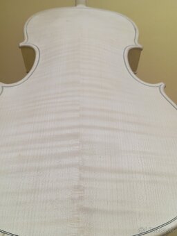 Viola - 6