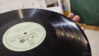 LP TEAM - Team 1988 - 6