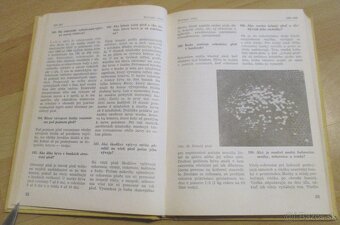 1000 otázok a odpovedí zo včelárstva - 6