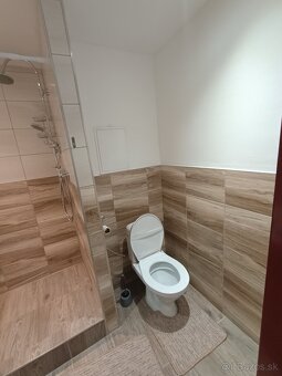 Prenájom 1,5 izb. - Jazero - 6