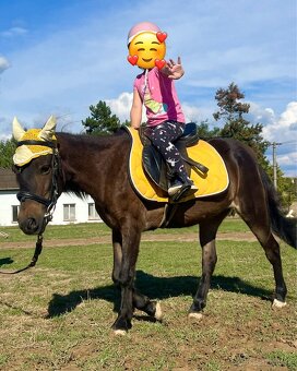 Pony kobylka k detom - 6