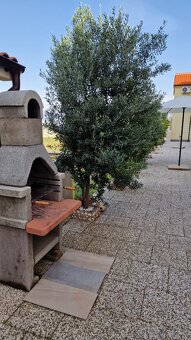 Chorvátsko pekný dvojspálňový apartmán prvý rad pri mori - 6