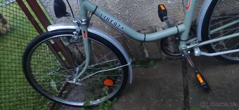 Liberta - 6