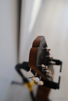 Dowina Master Series Walnut Selection DLX OMG Torrefied Spru - 6
