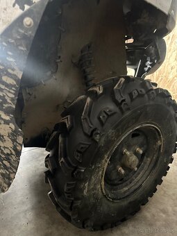 kawasaki brute force 750 - 6