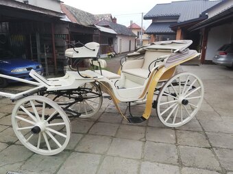 Koč - 6