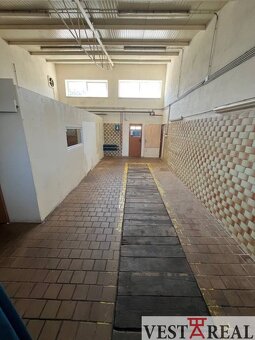 Prenájom Priestoru 135m2 - Galanta - 6